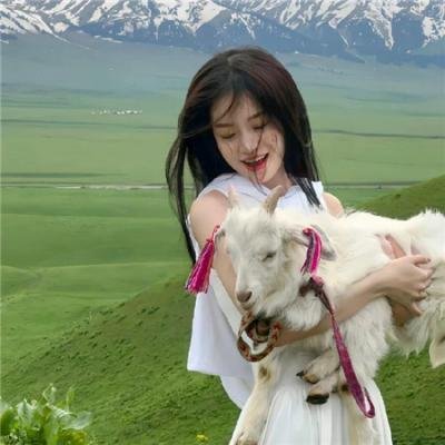 黑道刺杀令